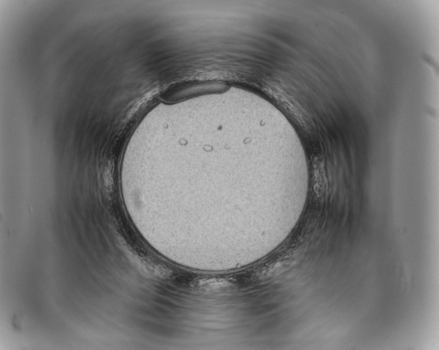 X0000097820208200804111023