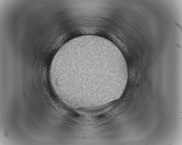 X0000097820209200804111023