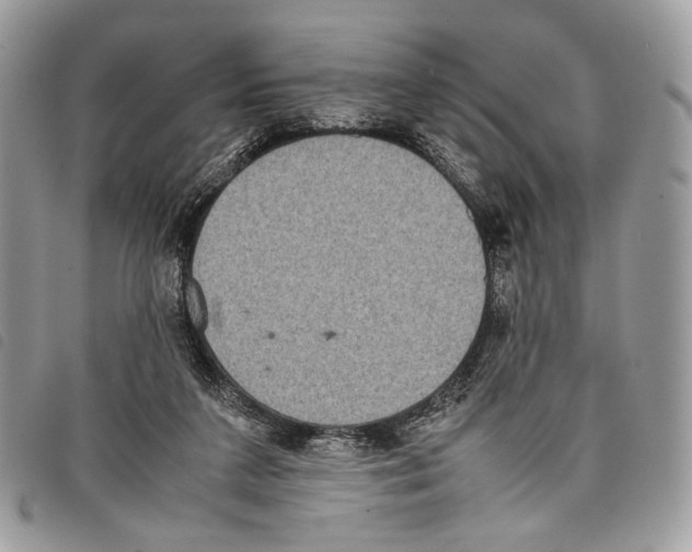 X0000097820211200804111023