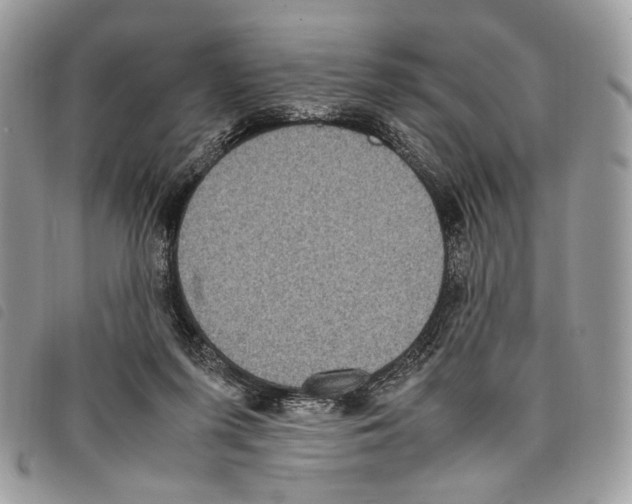 X0000097820215200804111023