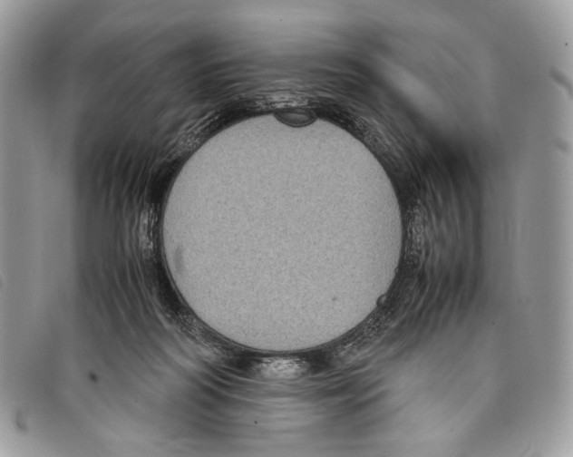 X0000097820218200804111022