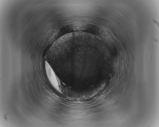 X0000097820219200804111022