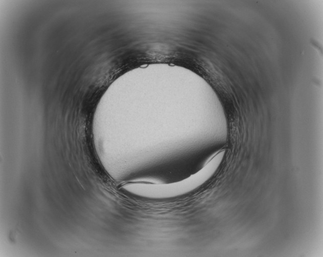 X0000097820221200804111022