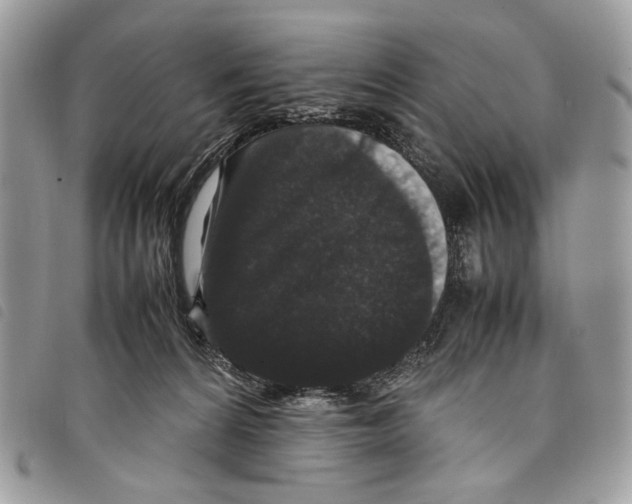 X0000097820224200804111022