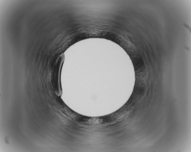 X0000097820225200804111022