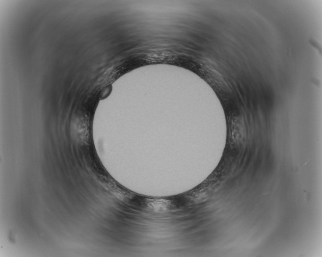 X0000097820226200804111022