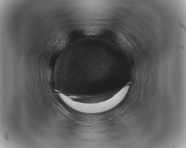 X0000097820227200804111022