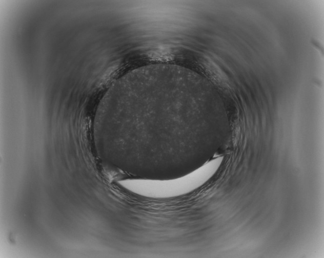 X0000097820229200804111022