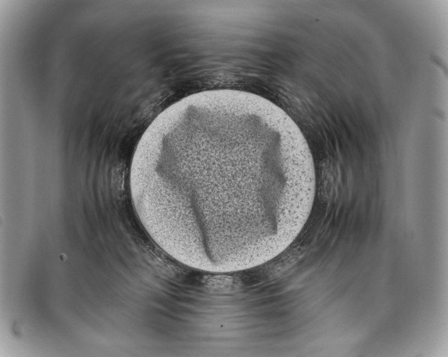 X0000097820230200804111022