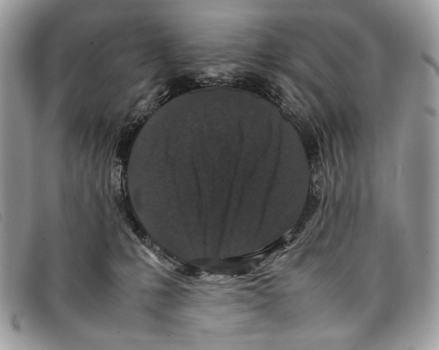 X0000097820231200804111022