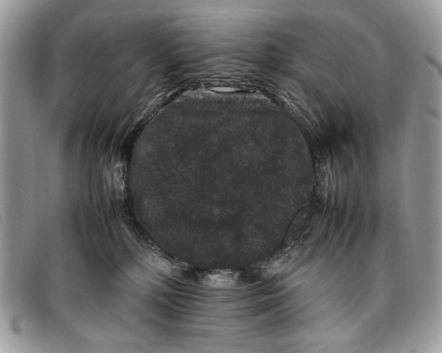 X0000097820232200804111022