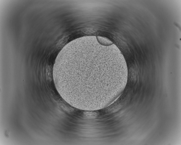 X0000097820234200804111022