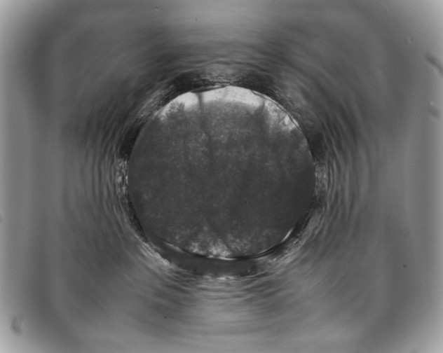 X0000097820237200804111022