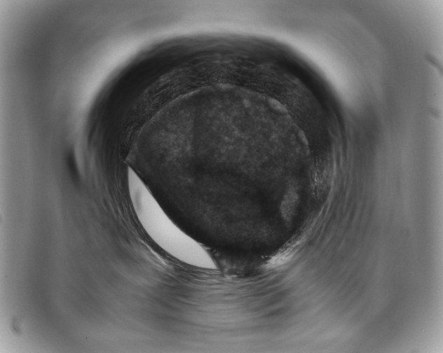 X0000097820239200804111022