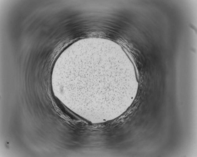 X0000097820241200804111022