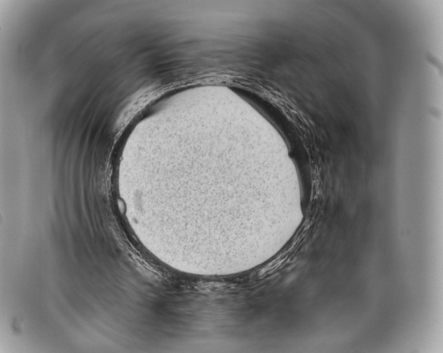 X0000097820242200804111022