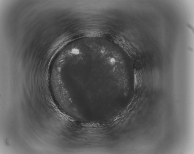 X0000097820243200804111022