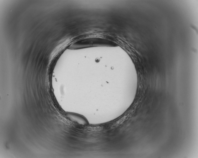 X0000097820245200804111022