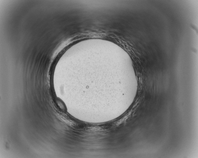 X0000097820246200804111022