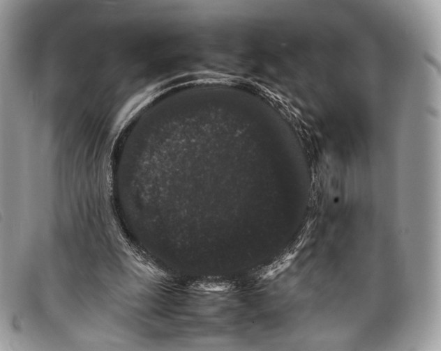 X0000097820247200804111022