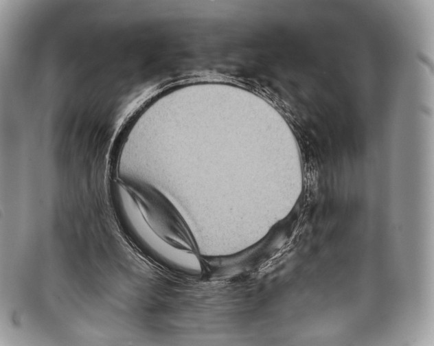 X0000097820248200804111022