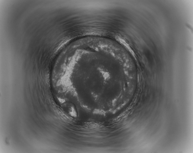 X0000097820249200804111022