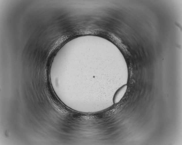 X0000097820250200804111022