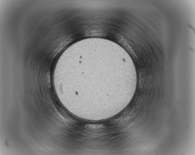 X0000097820251200804111022