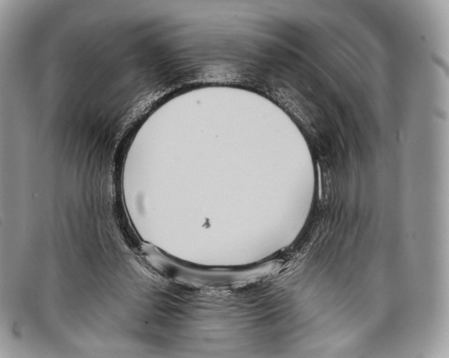 X0000097820252200804111022