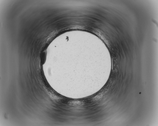 X0000097820253200804111022