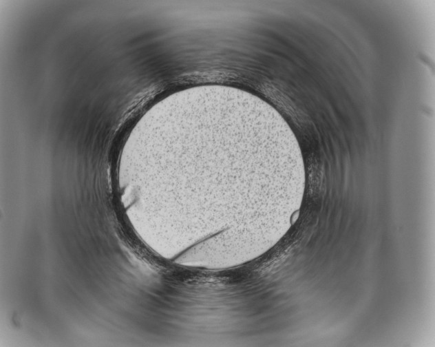 X0000097820254200804111022