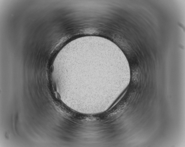 X0000097820256200804111022