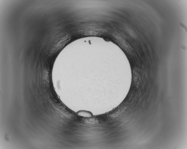 X0000097820258200804111022