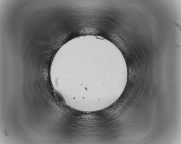 X0000097820259200804111022