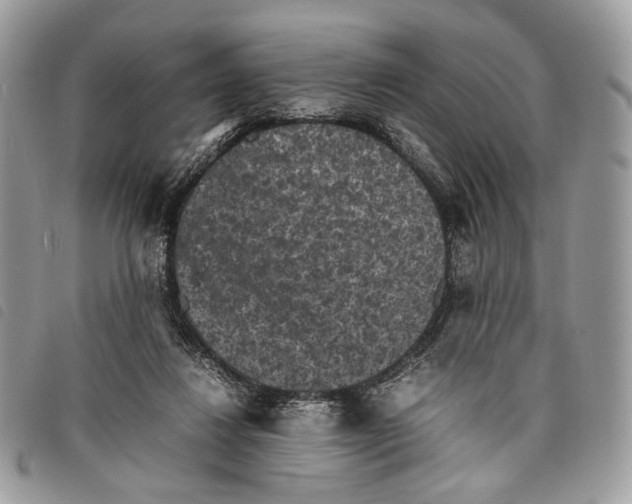 X0000097820260200804111022