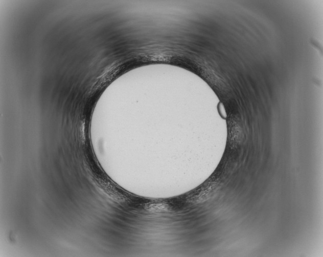 X0000097820262200804111022