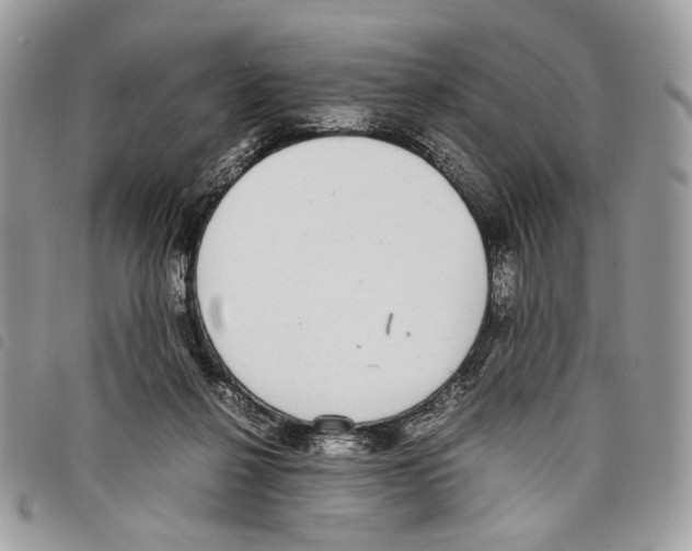 X0000097820264200804111022