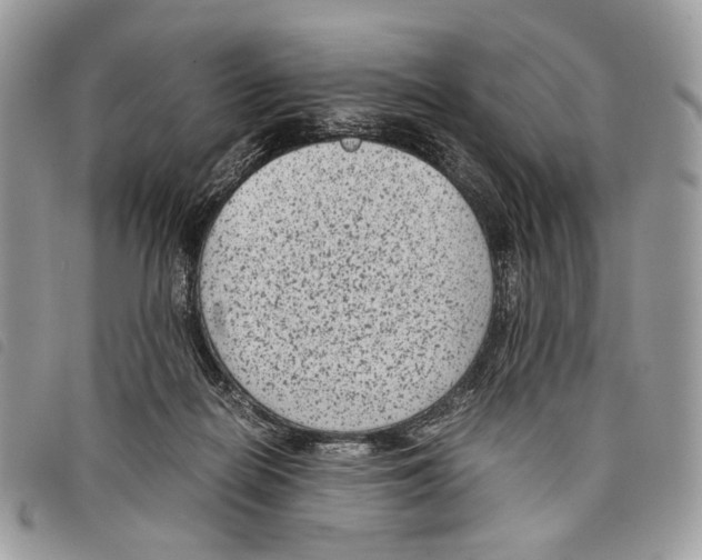 X0000097820266200804111022