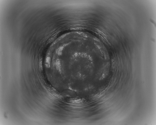 X0000097820267200804111022