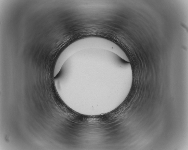 X0000097820268200804111022