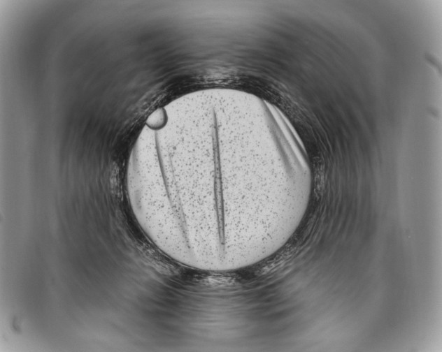 X0000097820270200804111022