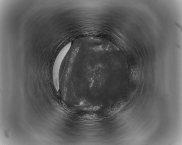 X0000097820271200804111022