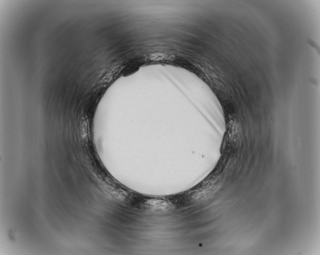 X0000097820272200804111022