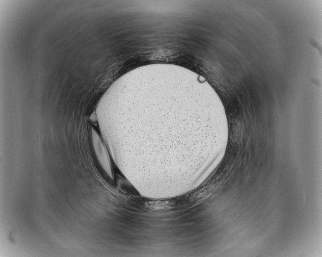 X0000097820273200804111022