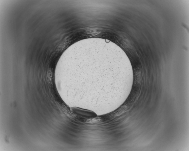 X0000097820274200804111022