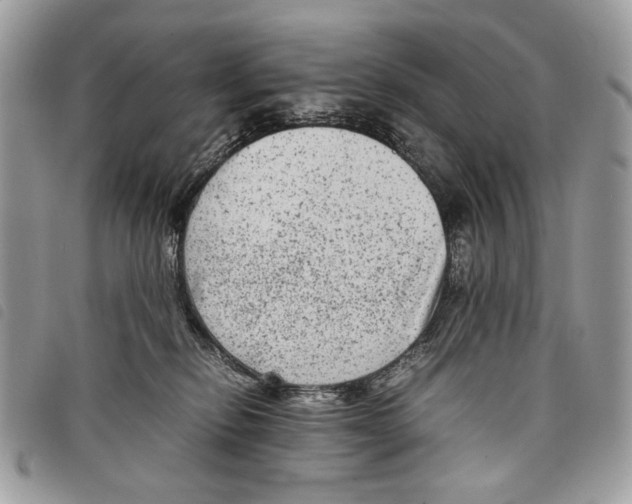 X0000097820278200804111022