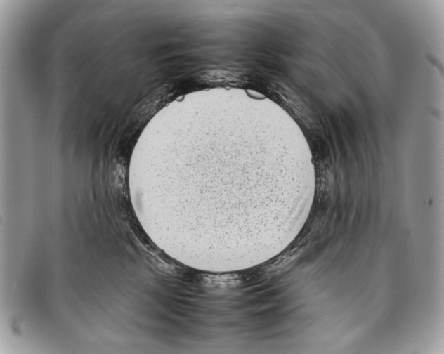 X0000097820281200804111022