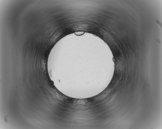 X0000097820282200804111022