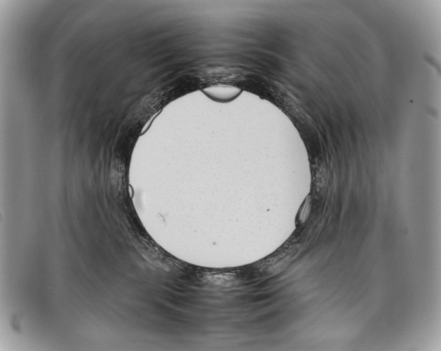 X0000097820283200804111022