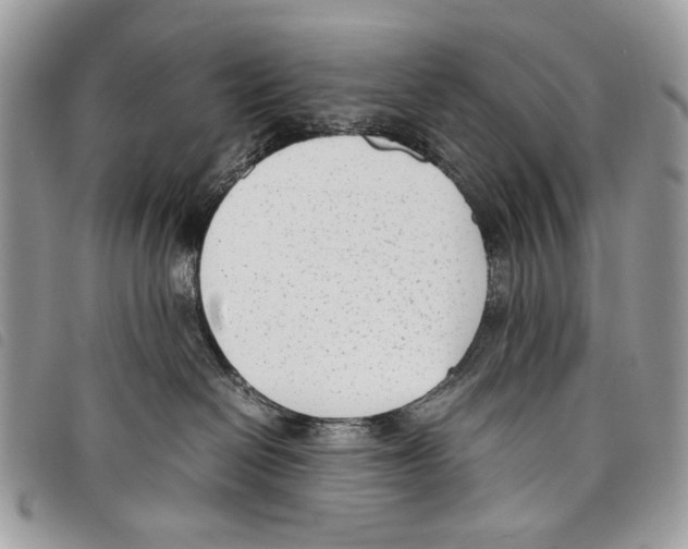 X0000097820286200804111022